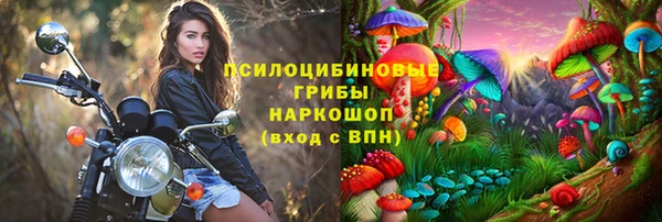бутират Алексеевка