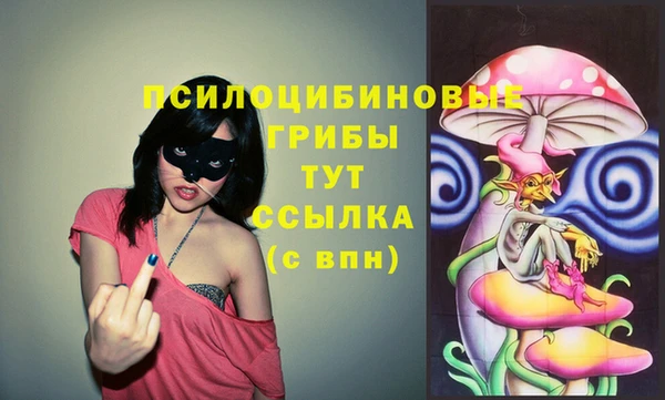 спайс Алексин